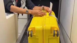 “Проверьте свой чемодан“: казахстанка лишилась багажа из-за одной вещи