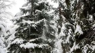 Снова морозы на севере, осадки - на юге: погода в Казахстане 21 января