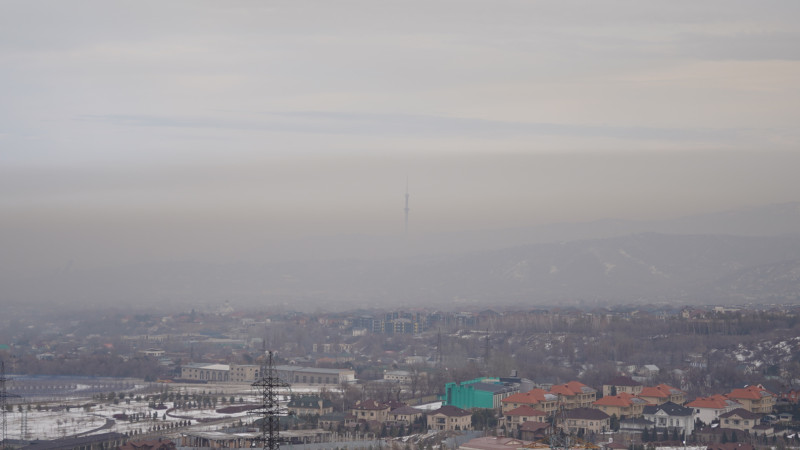 Фото © Tengrinews.kz / Болат Айтмолда