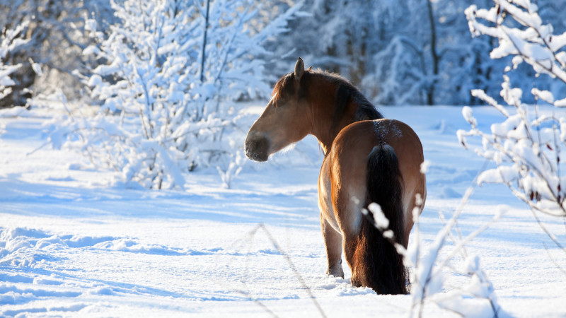 Фото:depositphotos.com