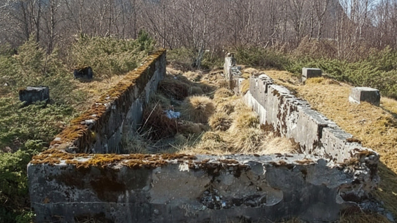 Фото предоставлено норвежским историком Эвой Донат