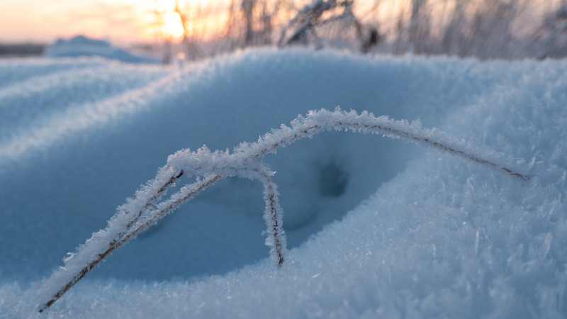 Фото:depositphotos.com