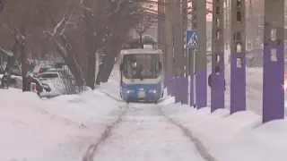 Жители Усть-Каменогорска в морозы ощутили нехватку трамваев