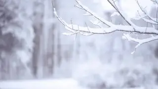 Морозы и метель накроют Казахстан: прогноз погоды на субботу, 24 января