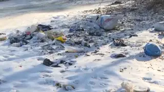 Стихийные свалки разрастаются у дачных массивов Талдыкоргана