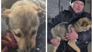 Казахстанец стал звездой в TikTok после доброго поступка: история получила продолжение