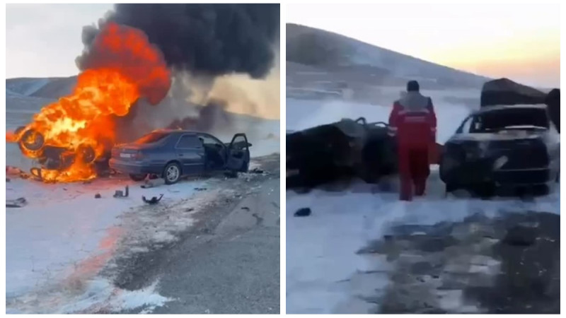 Кадры видео: instagram/taldykorganec.insta_