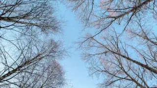 Морозы сохранятся на севере, на юге потеплеет: прогноз погоды на понедельник