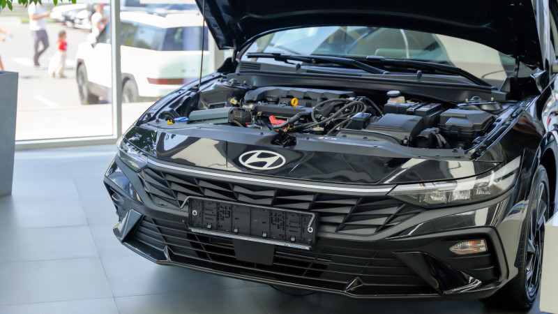 Фото: Mirroni/depositphotos.com