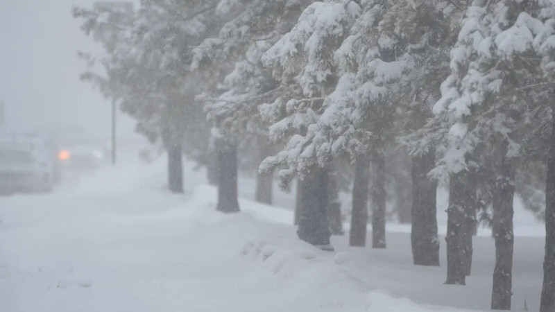 Фото © Tengrinews.kz