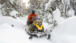 Мигрантов перевозили на снегоходах: МВД провел масштабную спецоперацию