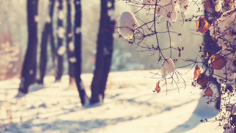 Фото:depositphotos.com