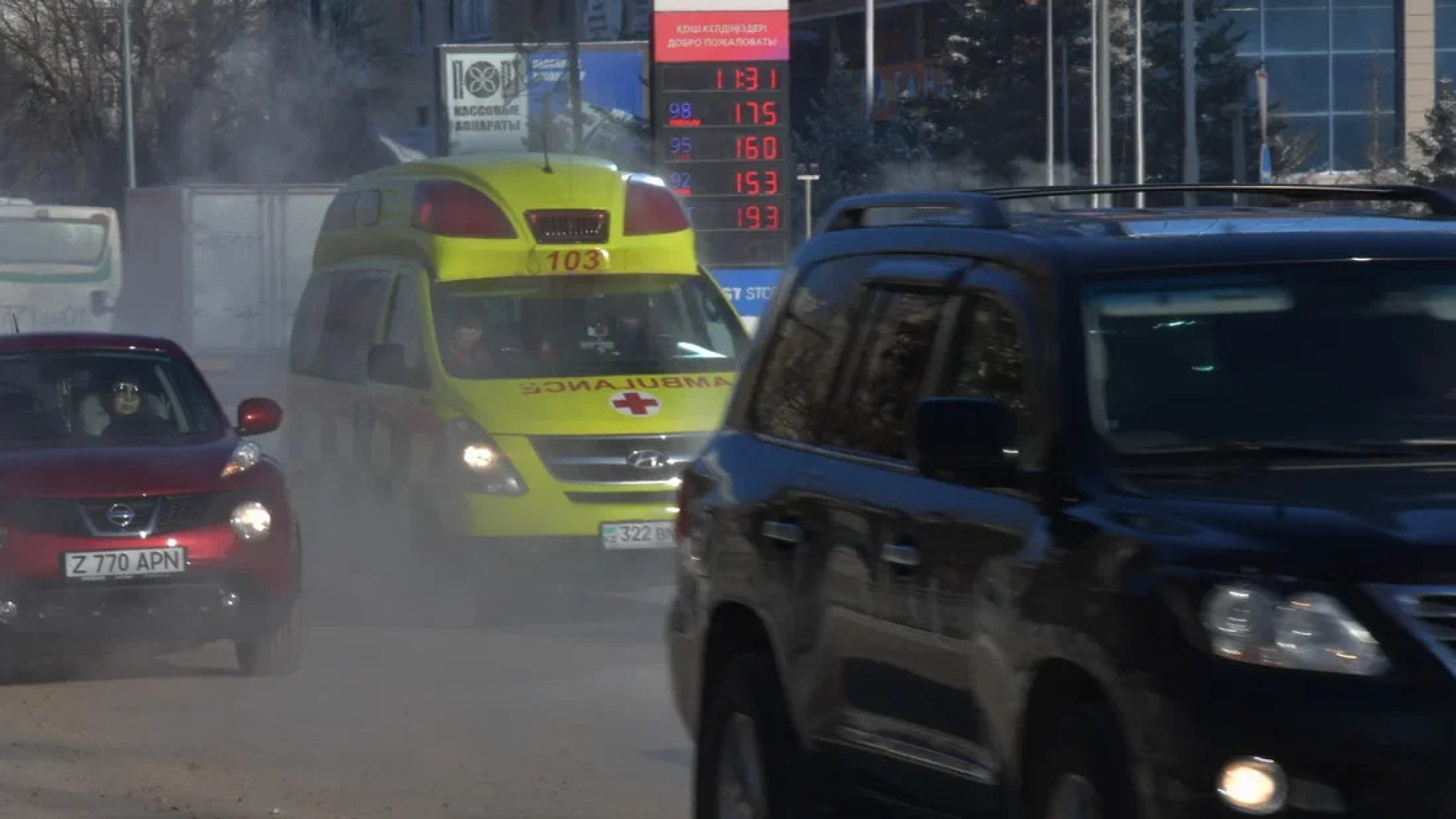 90-летняя казахстанка чуть не умерла из-за хурмы