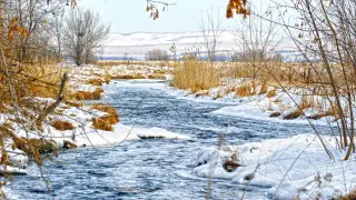 Тепло до +13 придёт в Казахстан