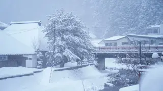 Рекордные снегопады привели к гибели 18 человек в Японии