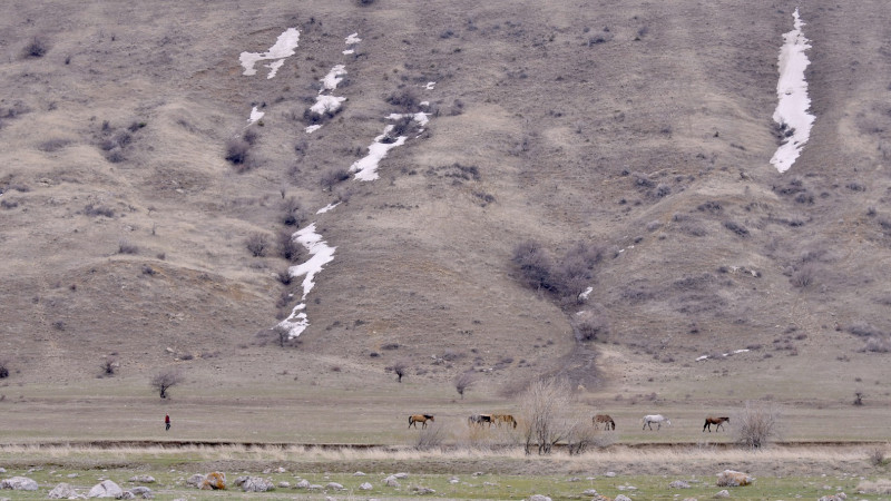 Фото © Tengrinews.kz / Турар Казангапов