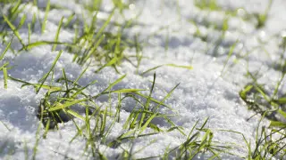 До +10: Астану и Алматы ждёт потепление