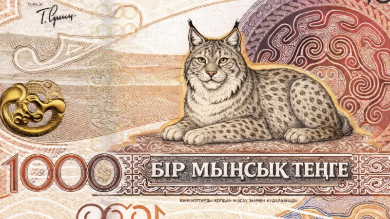 Фото из социальных сетей