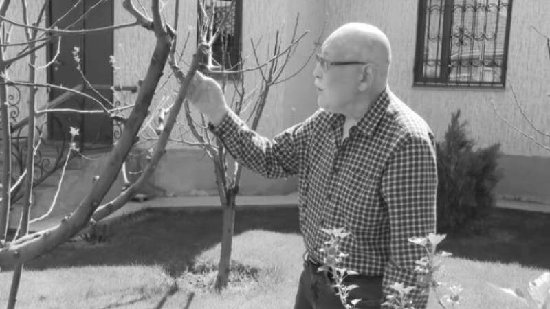 Кадр из видео