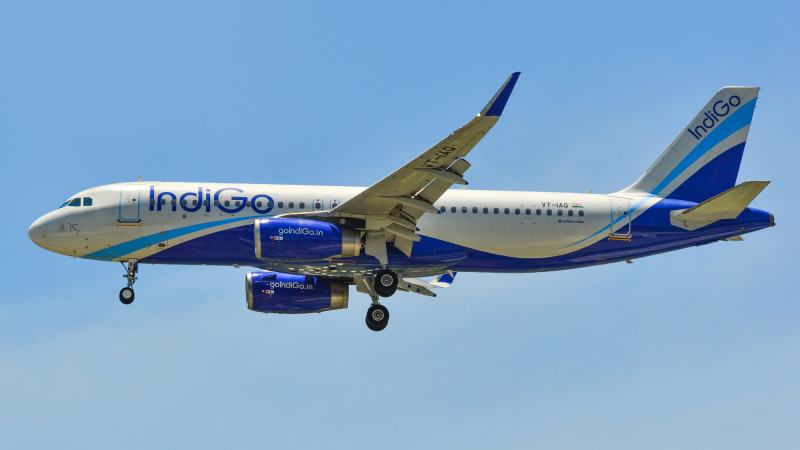 Фото:depositphotos.com/ phuongphoto