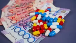 “Бесплатное образование и медицина — это миф“ — депутат о формулировках в новой Конституции