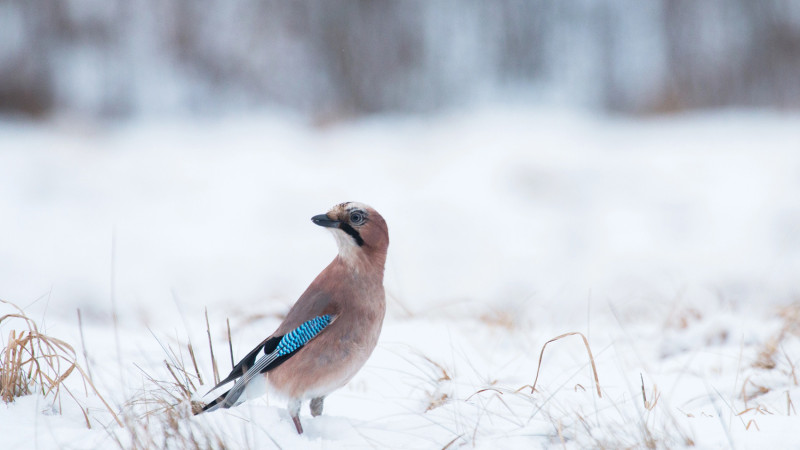 Фото:depositphotos.com