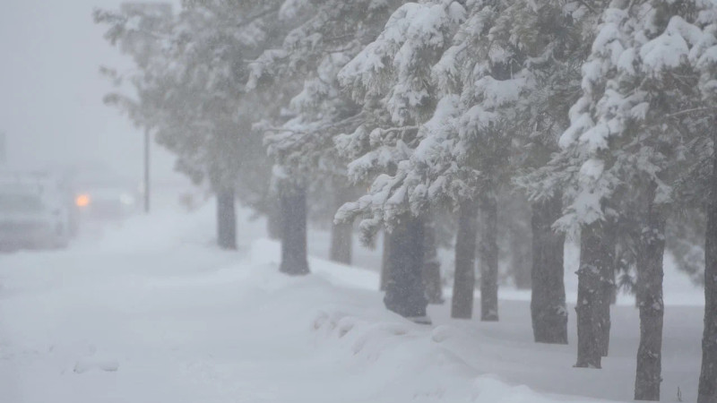 Фото пресс-службы Акорды
