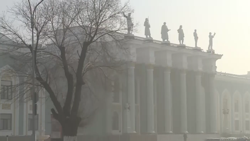 Кадры из видео