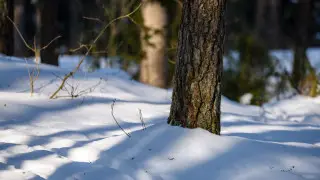 Какая погода ждёт Казахстан в субботу, 7 февраля: прогноз