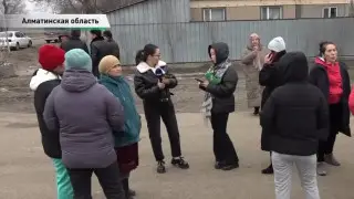 “Очень страшно. Вдруг загрызут“. Жители села в Алматинской области пожаловались на бродячих собак