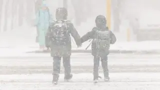 В ряде областей школьники будут учиться дистанционно 11 февраля