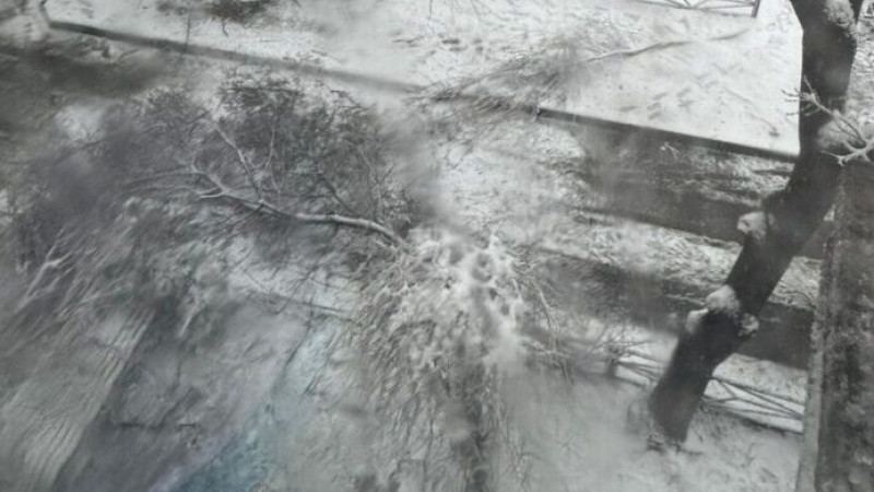 Фото очевидцев