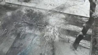 Упавшая ветка дерева унесла жизнь 10-летнего школьника в Шымкенте