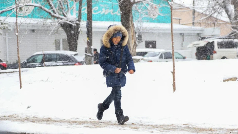 Фото © Tengrinews.kz