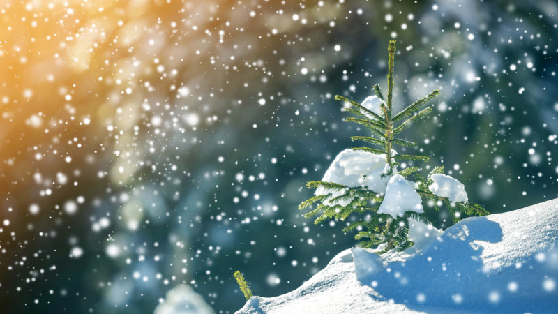 Фото:depositphotos.com