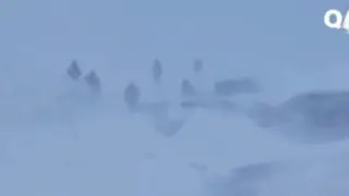 Крупное ДТП на трассе: водители проигнорировали предупреждения