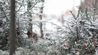Какой будет погода в Казахстане в четверг, 19 февраля: прогноз