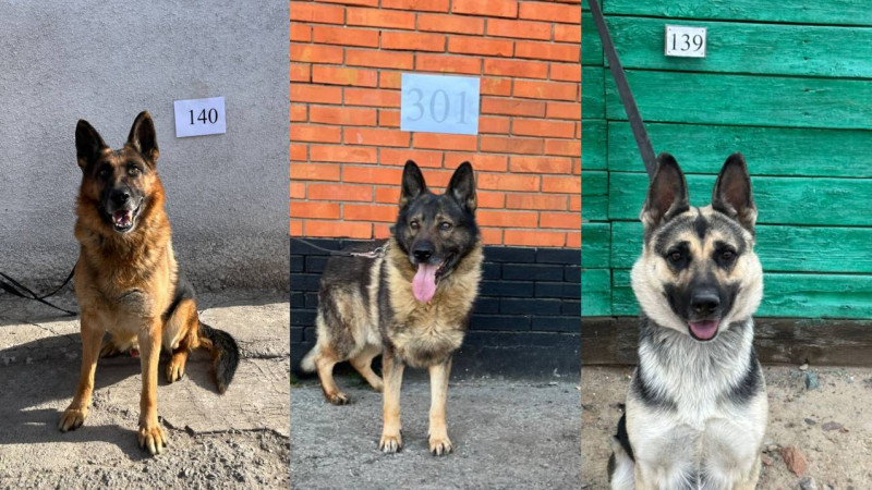 Фото: sauda.e-qazyna.kz