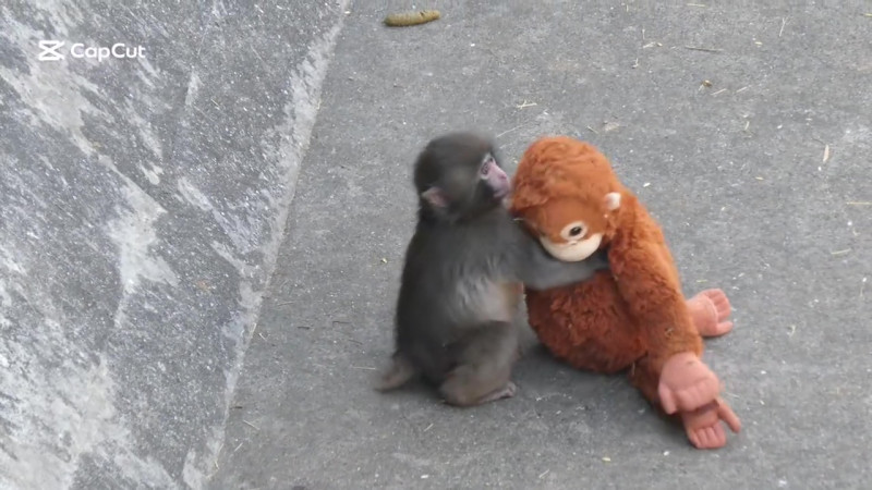 Кадр из видео