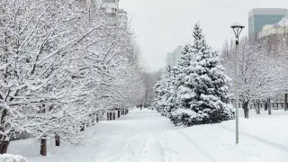 Астану заморозит до -31, а Алматы накроют снегопады: прогноз