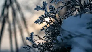 Север и восток накроют морозы, юг — дожди: прогноз погоды в Казахстане на среду