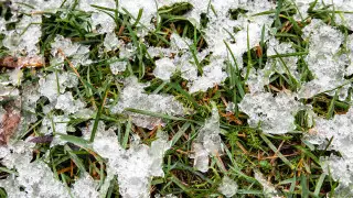 Сильные морозы доберутся до юга Казахстана