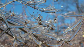 Морозный удар по Астане и ледяной дождь в Алматы — прогноз на 3 дня