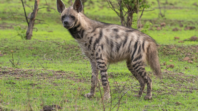 Фото:depositphotos.com