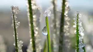 Температурный рекорд 51-летней давности побит в Казахстане