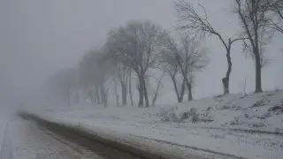 Погода 28 февраля: штормовые предупреждения объявили в Алматы, Шымкенте и областях