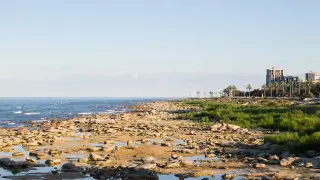 Что ждёт Каспий до 2050 года: Минэкологии озвучило два сценария