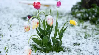 Весна отменяется? В Казахстан возвращаются морозы до –25