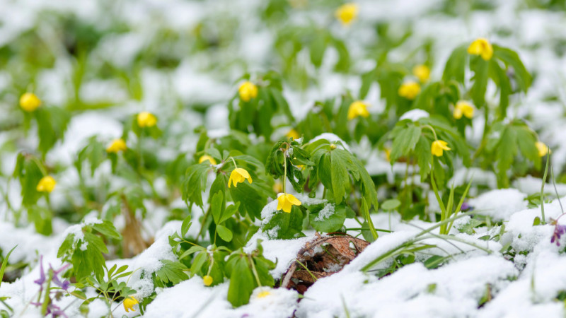 Фото:depositphotos.com