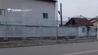 “Здесь была лесополоса“: в акимате ответили на видео с вырубкой деревьев